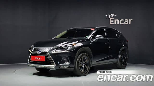 Lexus NX300h, 2018