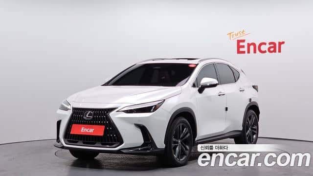Lexus NX350h, 2024