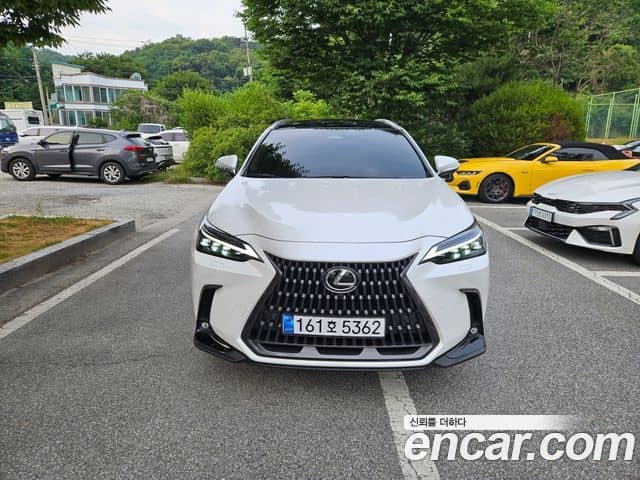 Lexus NX350h, 2024