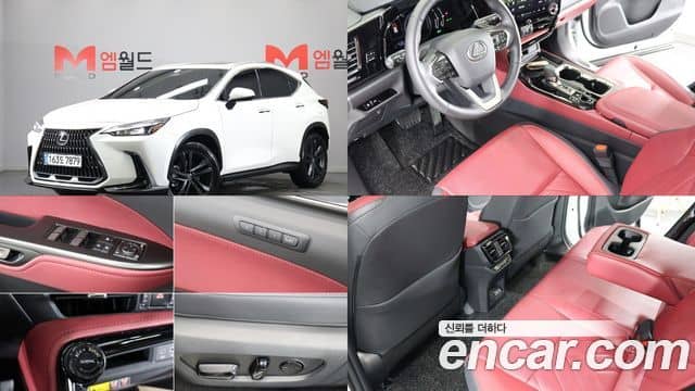 Lexus NX350h, 2025