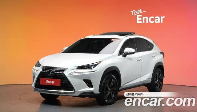 Lexus NX300h, 2019