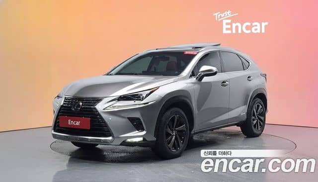 Lexus NX300h, 2019