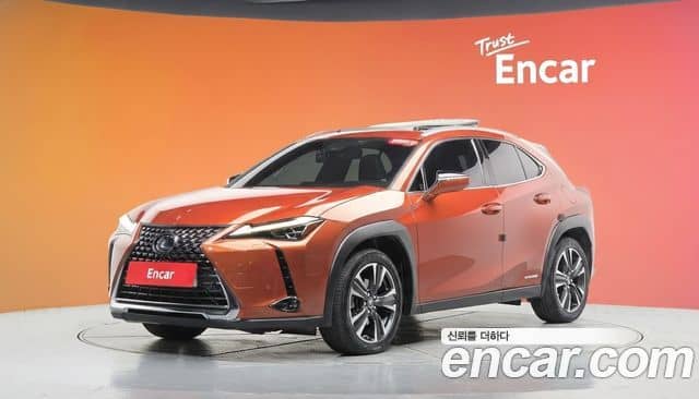 Lexus UX250h, 2019