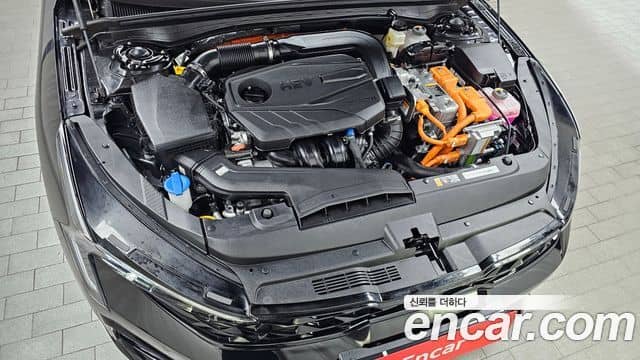 Kia K5, 2024