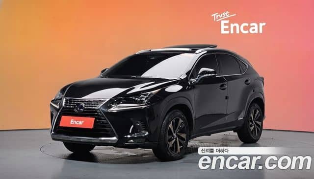 Lexus NX300h, 2019