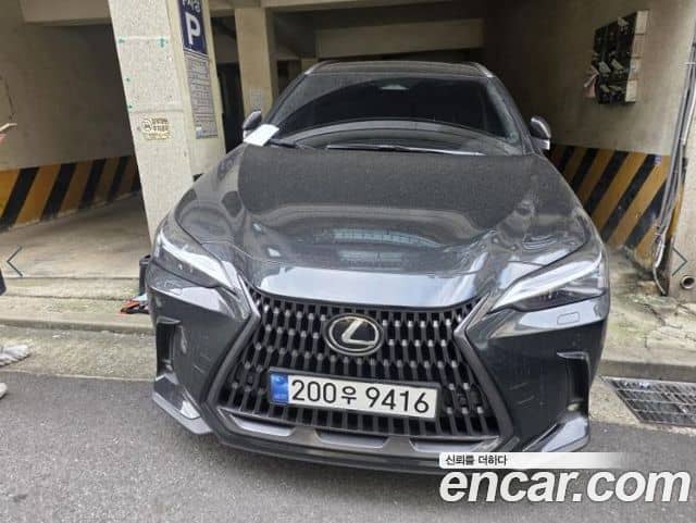 Lexus NX350h, 2024