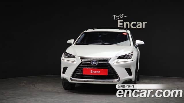 Lexus NX300h, 2019
