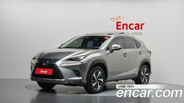 Lexus NX300h, 2021