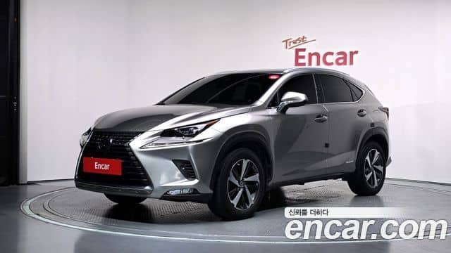Lexus NX300h, 2020