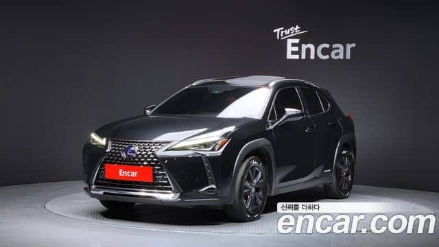Lexus UX250h, 2021