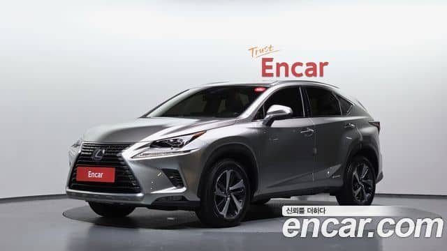 Lexus NX300h, 2019