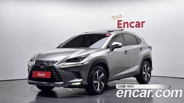 Lexus NX300h, 2019