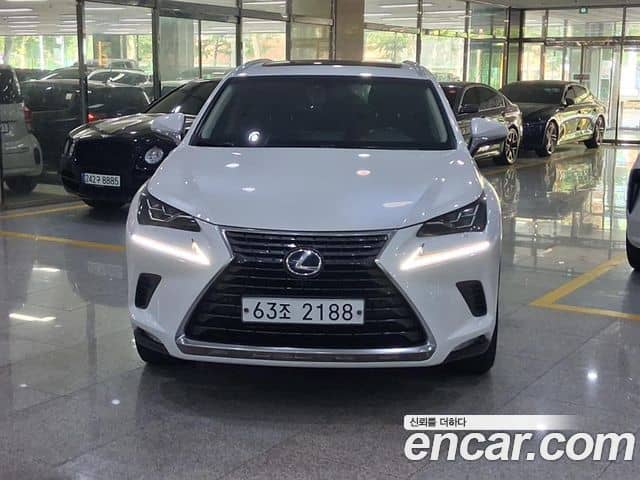 Lexus NX300h, 2018