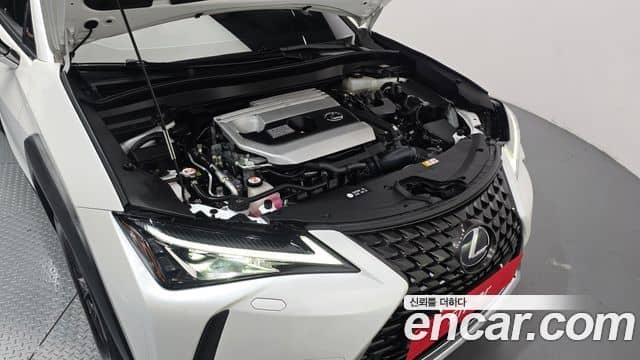Lexus UX250h, 2021