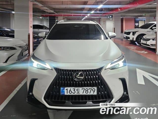 Lexus NX350h, 2025