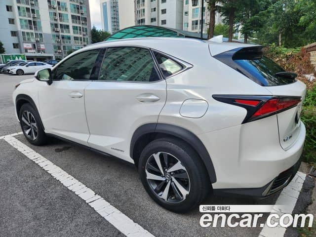 Lexus NX300h, 2021