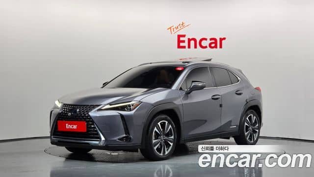Lexus UX250h, 2019