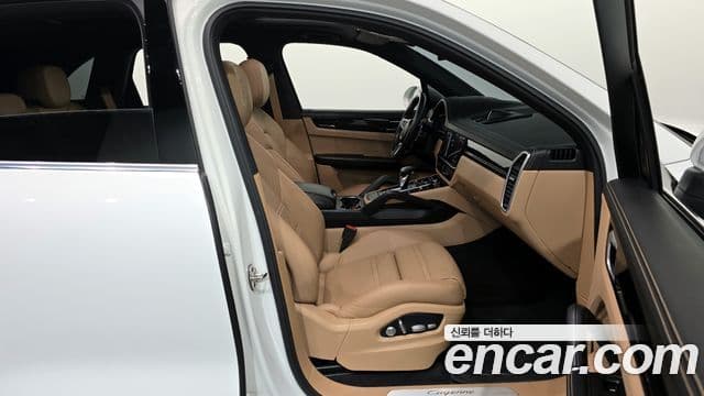 Porsche Cayenne 2020 — ფოტო 11/20