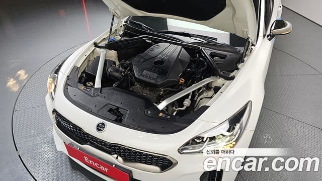 Kia Stinger 2020 — ფოტო 6/20