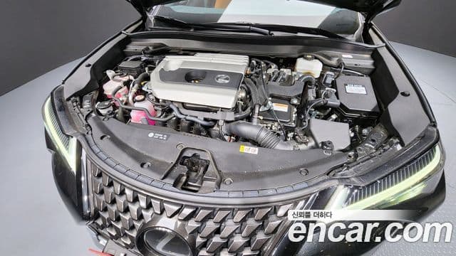 Lexus UX250h 2023 — Şəkil 6/20
