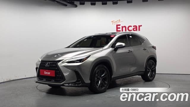 Lexus NX350h 2024 — Şəkil 1/20