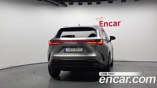 Lexus NX350h 2024 — Şəkil 4/20