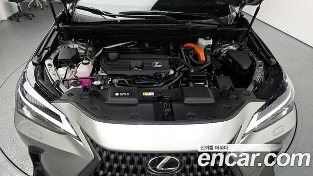 Lexus NX350h 2024 — Şəkil 6/20
