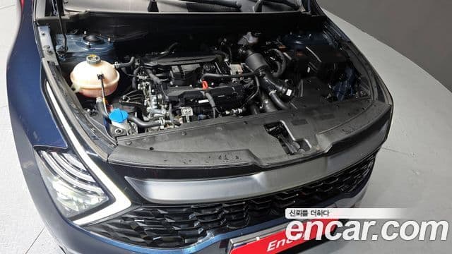Kia Sportage 2022 — ფოტო 6/20