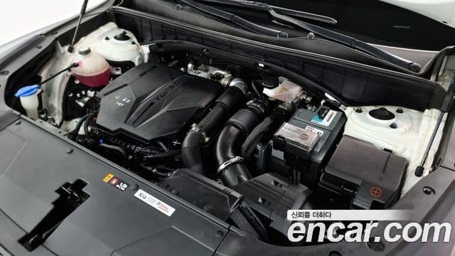 Kia Sorento 2023 — фото 6 из 20