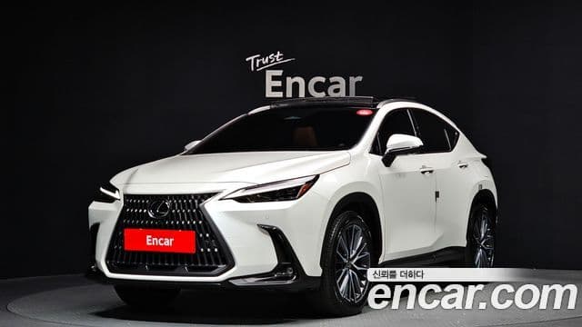 Lexus NX350h 2024 — ფოტო 20/20