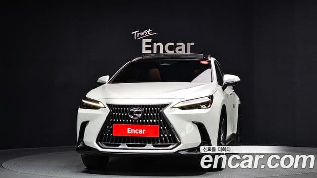 Lexus NX350h 2024 — ფოტო 2/20
