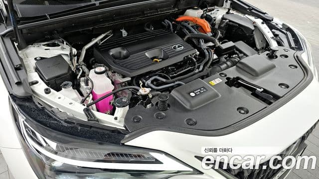 Lexus NX350h 2024 — ფოტო 5/20
