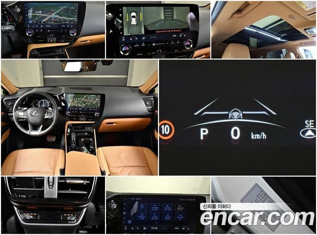 Lexus NX350h 2024 — ფოტო 18/20