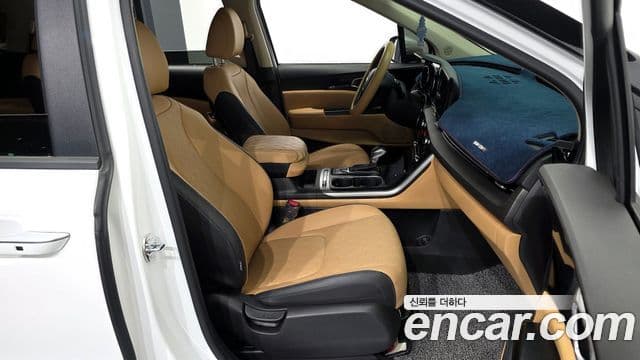 Kia Carnival 2021 — ფოტო 11/20