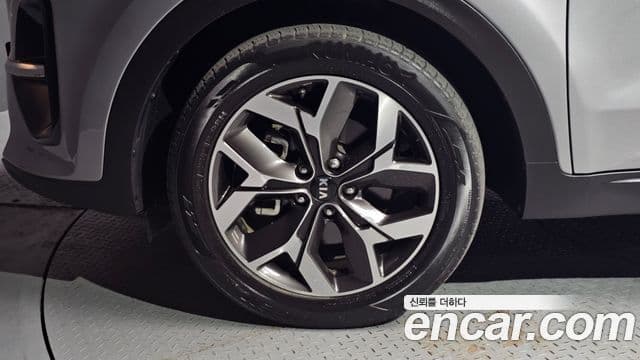 Kia Sportage The Bold 2019 — фото 5 из 20