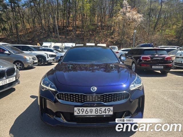 Kia Stinger 2020 — ფოტო 9/20