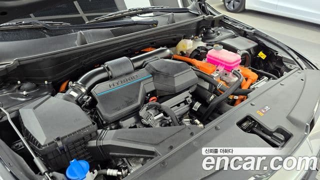 Kia Sportage 2022 — Şəkil 6/20