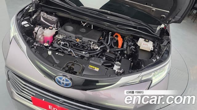 Toyota Sienna 2022 — ფოტო 6/20