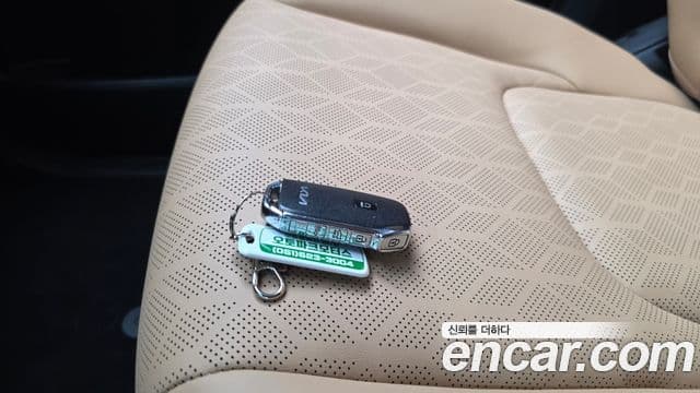 Kia Carnival 2022 — ფოტო 18/20