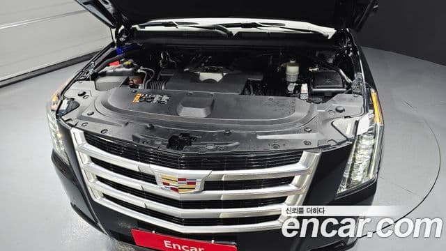 Cadillac Escalade 2019 — ფოტო 6/20