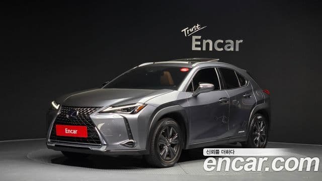 Lexus UX250h 2019 — фото 9 из 20