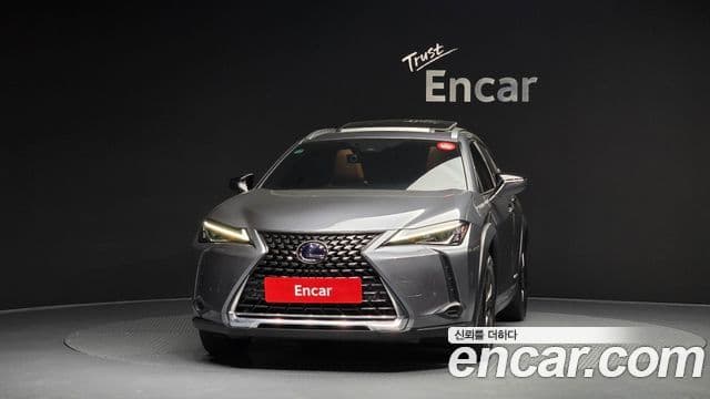 Lexus UX250h 2019 — Şəkil 2/20
