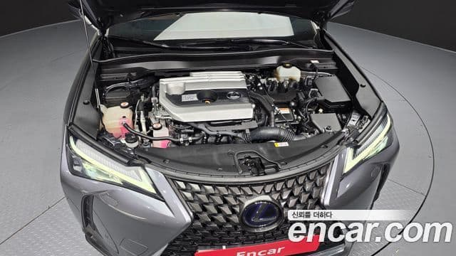 Lexus UX250h 2019 — Şəkil 5/20