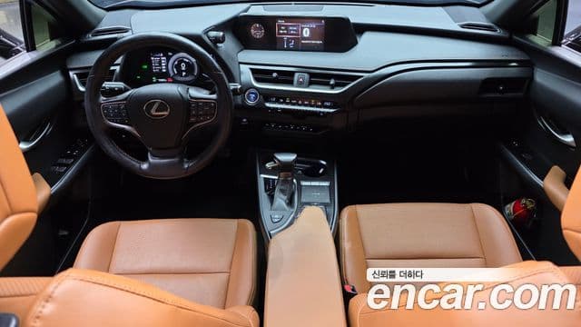 Lexus UX250h 2019 — Şəkil 10/20