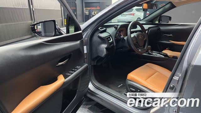 Lexus UX250h 2019 — Şəkil 8/20