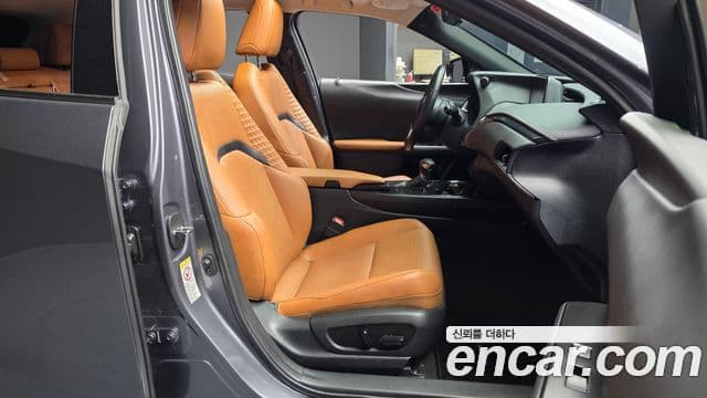 Lexus UX250h 2019 — Şəkil 11/20