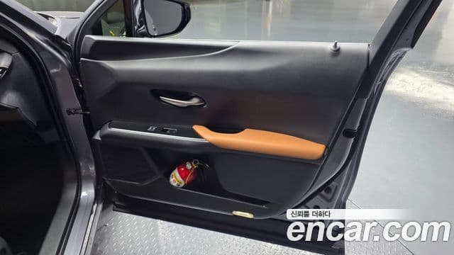 Lexus UX250h 2019 — Photo 1/24