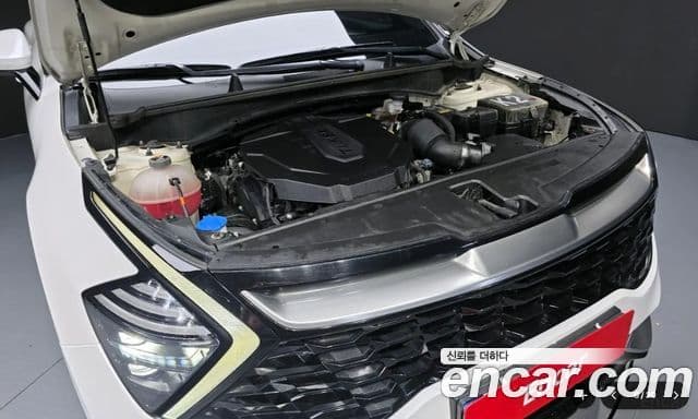 Kia Sportage 2021 — ფოტო 5/20
