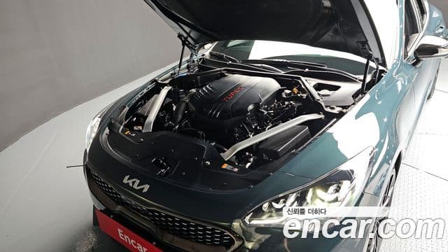 Kia Stinger Meister 2022 — Photo 8/20