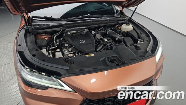 Lexus RX500h 2024 — ფოტო 6/20